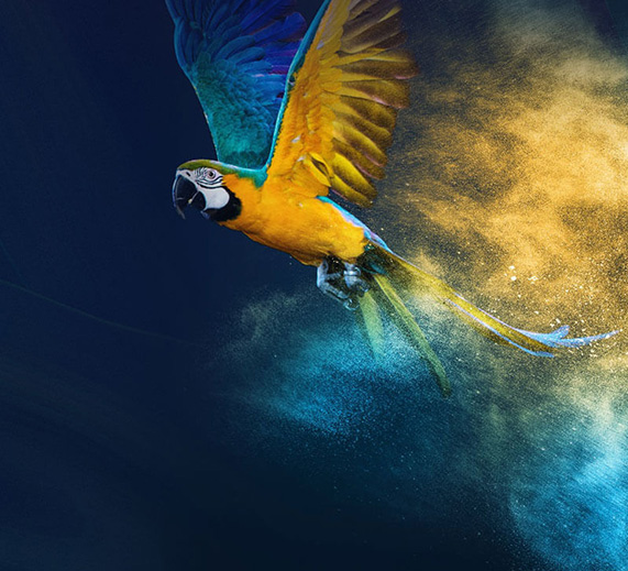 涂料廠家官網建設